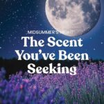 Yankee Candle Mid Summer's Night, Scented Candle - Image 4